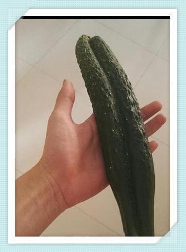 3b0d00038336acf02c0e