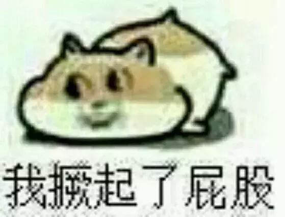 3e6000025e575b4260c2