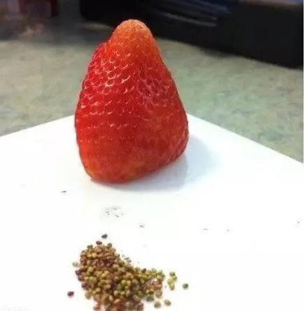 1c5b000567de061b1a9c