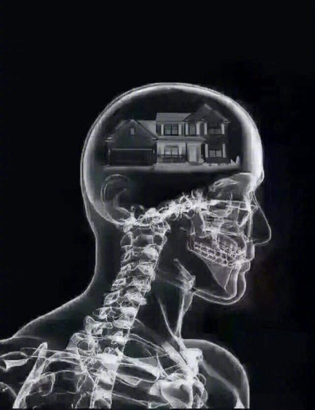 404300035b7153a8bf6b