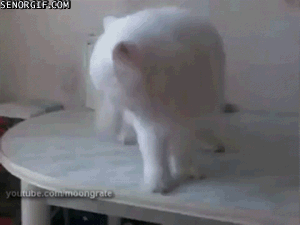 435b000055527b29f6ea