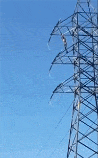 401800003013494a0c73