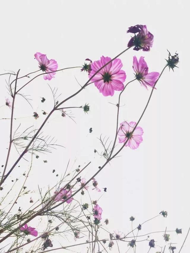 46f60001e790d7e88e21