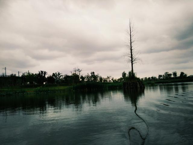 46f900005d4236e3ef5b
