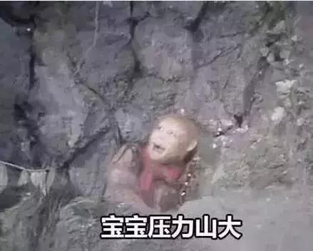 471c00005631edbd473c