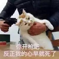 47150005a2a4dd8eefc8