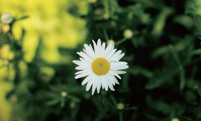 471f00009bfc325540a3