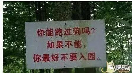 472b00013935d33915f0