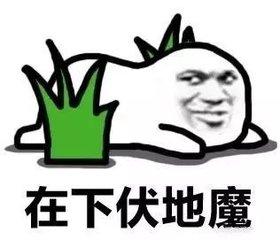 4727000396146b56c80c