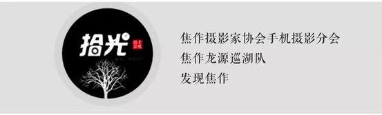46d90004732c929d2fec