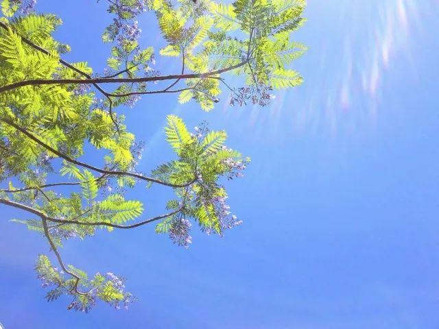 4ade00002d7b40ac72e3