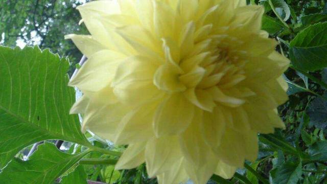 4ad70001e17ba66710aa