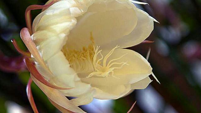 4ad900023d81a5395d89
