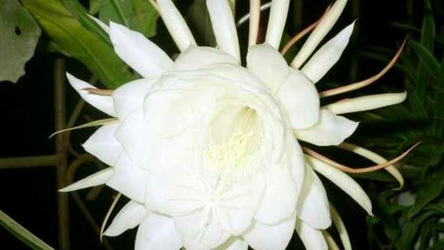 4ad900023dbaa82dbeb5