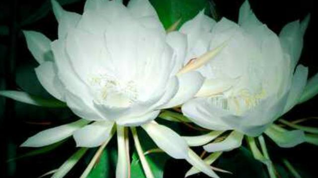 4ad600039bb35abef8d3