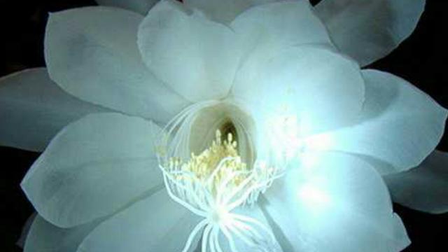 4ad50003da6113c7dfe5