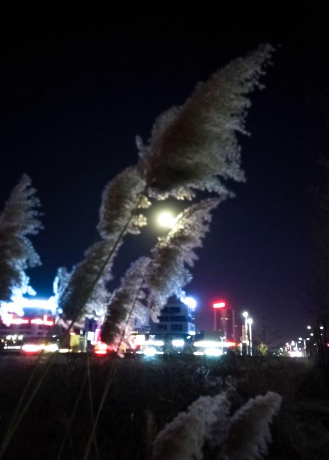 4ada00047218972e1ae2