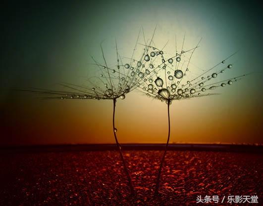 4b010004a8186ce79c4e