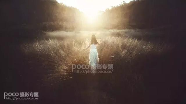 4e6100031d278e93332a