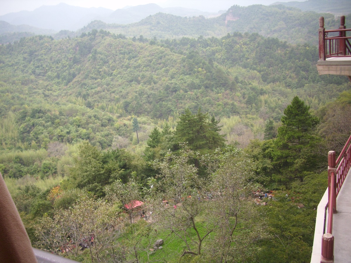 27564608_tt