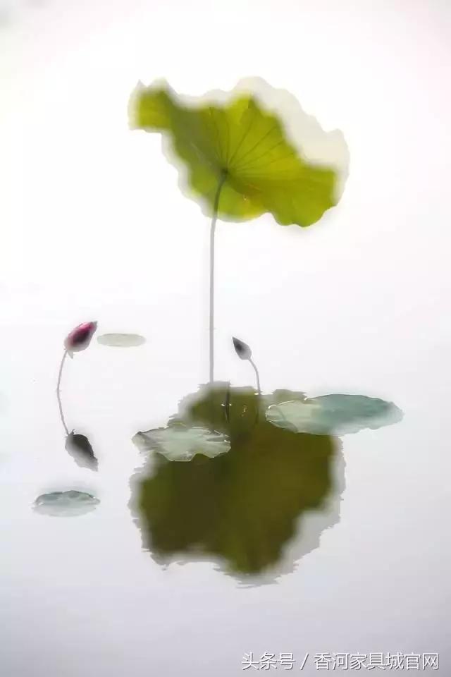 4e7600041d36cd3a3e96