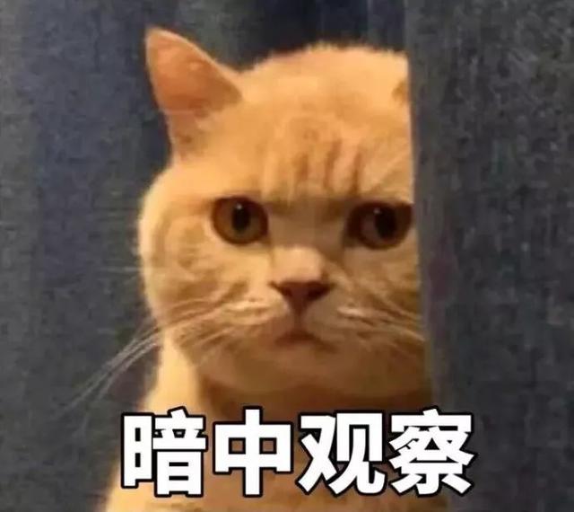4e7f0003398c57106e13