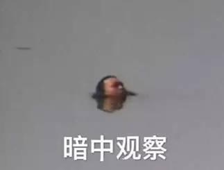 4e7f00040a9e3f9871c6