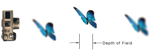 50ac0000b177880d9cb7