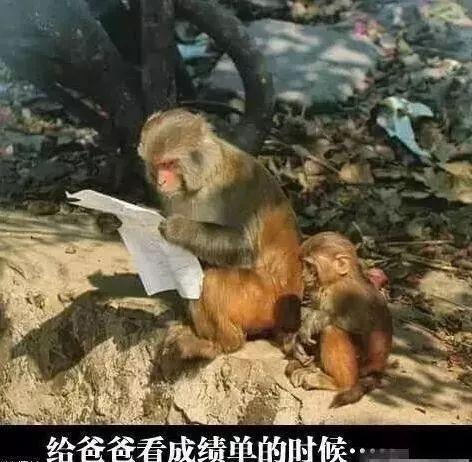 53ee0002b7a0c1141816