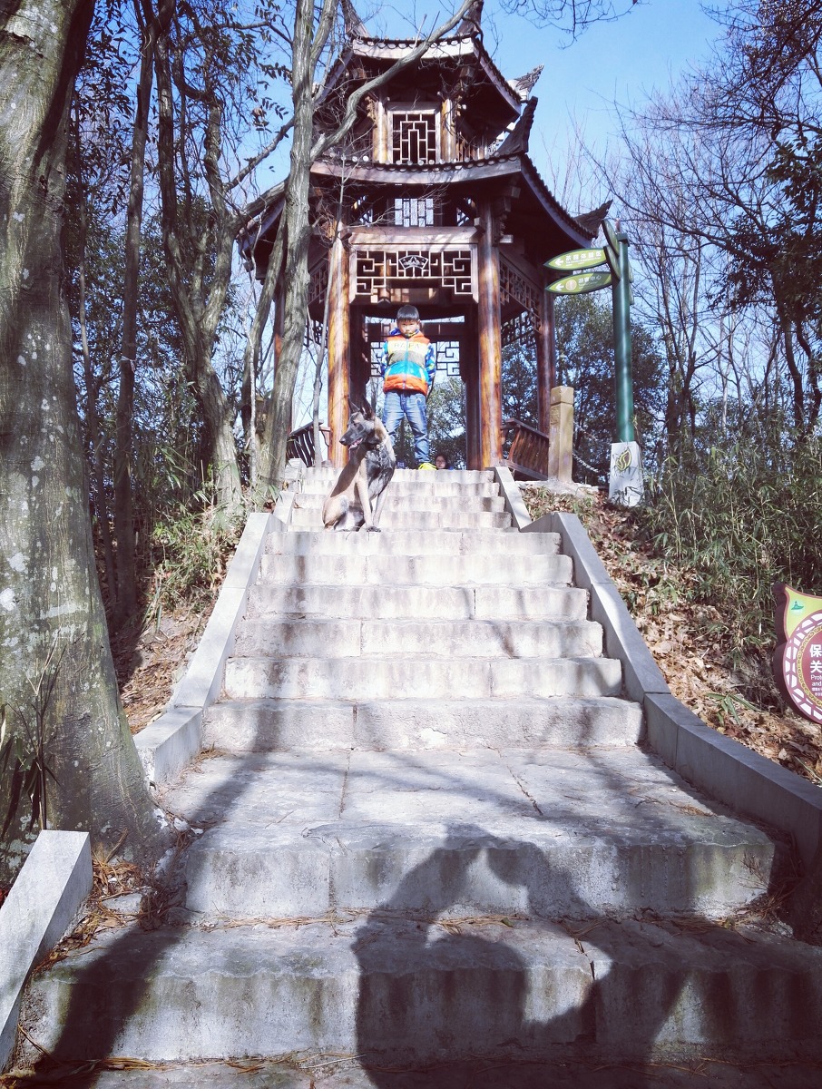 10460652_tt
