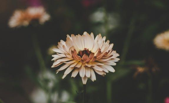 53f3000550e32d987fc5