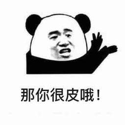 53f50003ba09c5a05a24