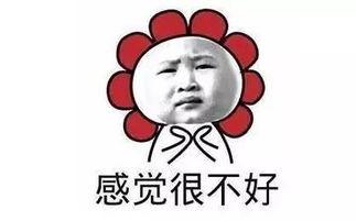 53fa0004aa8aff42fc85