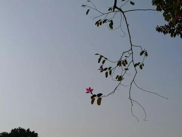 567900093cbf8c4c9bdb
