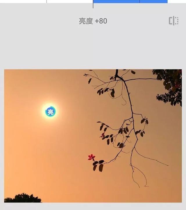 567c00049fdd684896b0