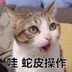 568700029c403c1c3af1
