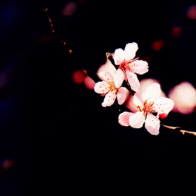 5684000141c1f0efced9