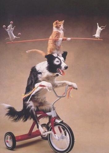 56950004b013bf7ee530