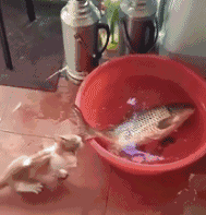 593100012b718123099e