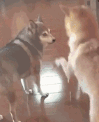 593b0000316207ae8910