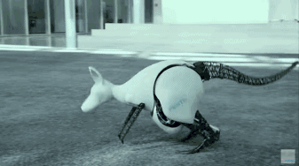 593b00003161a5499b8c