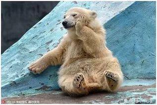 59360002b7a52696c6f7