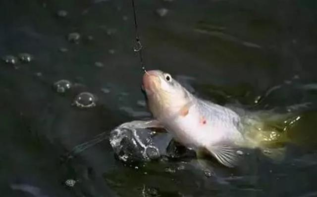 593f000489e1a3967619