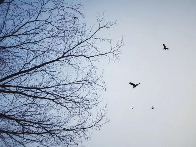 594700032e432f0ad896