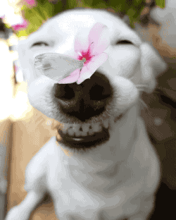 594c0000aa62f3b68a92