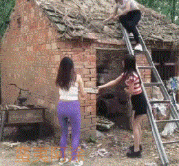 5e87000489df5b999c81