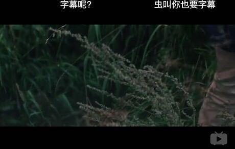615d000321e1efd414a6