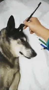 616f000523e11d3335ae