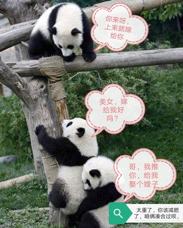 66b70003c397e33ade20