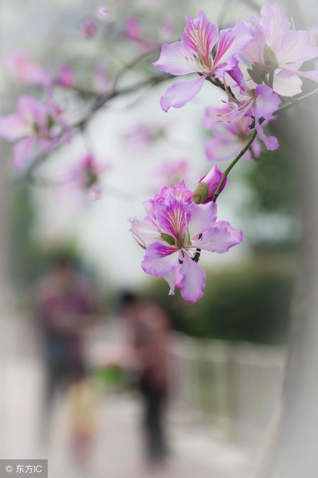 6c3c0001f67c4ffac16f